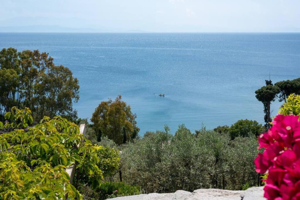 Seaside House With View Over Pagasitikos Афиссос Экстерьер фото