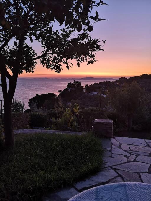 Seaside House With View Over Pagasitikos Афиссос Экстерьер фото
